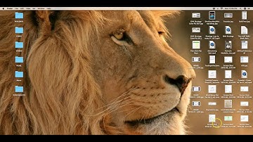 Add Forex Indicators to MT4 on a MAC