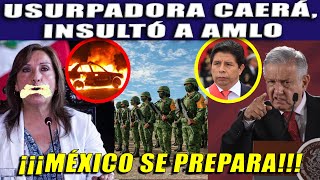 ¡CAE USURPADORA DE PERÚ! INSULTÓ A AMLO EN CADENA NACIONAL ¡MO HABRÁ PERDÓN!