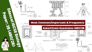 Edexcel IGCSE Biology Paper-2B | Most Commonly/Frequently Asked Questions Explained | (4BI1/2B)