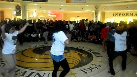 UCF DGC Meet the Greeks Fall 2011 Unity Stroll
