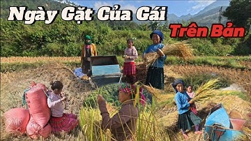 Het oogstseizoen in de hooglanden is heel vreemd