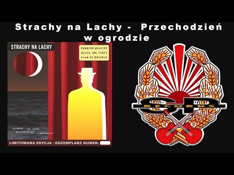 Przechodzień w ogrodzie