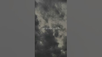 سورة الأحزاب آية رقم ٥٦ للقارئ علي جابر