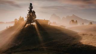 Isaac B. Cole — Time Decides the Deal | Sessions on the Green