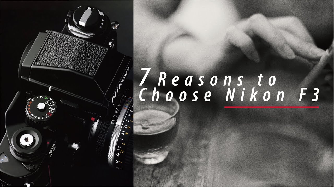 Is the Nikon F3 worth it? Nikon F3 vs FM2 // Nikon film camera Part 3 [EN SUB & 中文字幕]
