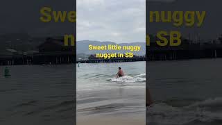 They’re there if you look hard enough !!! #surf #surfers #santabarbara #ocean #waves