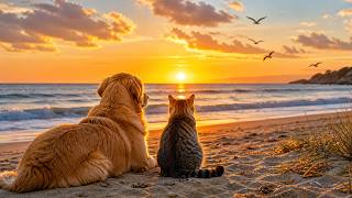 Peaceful Ocean Ambience with Cat & Dog | Calm Beach Sounds for Relaxing & Studying screenshot 4