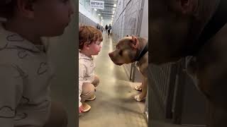 Little Kid Says “I Love You” to Giant Bully… And the Dog Answers Back 🐶💛