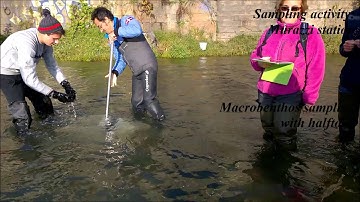Campionamento macrobenthos murazzi