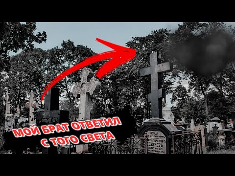 Video: Zakaj se moj psiček tako močno stresa?