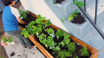 Make a Raised Planter Box for Your Herb Garden