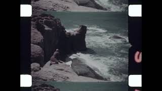 Home Movie: 003475 (silent)