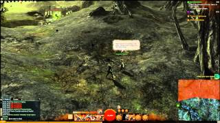 Guild Wars 2 Using Nvidia ShadowPlay (BETA)