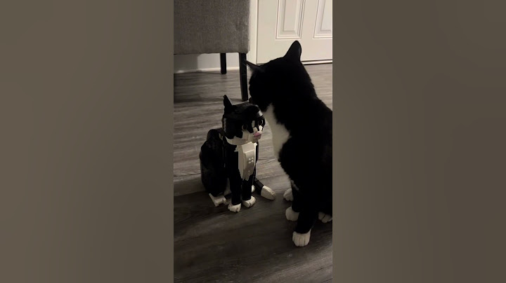 Making Biscuits By Following the Tutorial😹