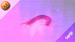 🤬 [FREE] Dubstep Type Beat Instrumental - Dubstep Hip Hop EDM Beats - Centipedes (Free Download) chords