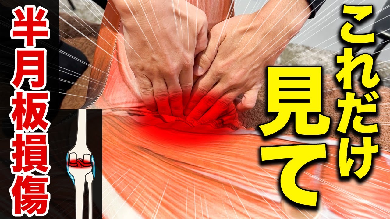 【この動画だけ見てください】実は9割の人は手術する必要がない⁉半月板損傷の見極め方と神ワザ治療法を伝授‼