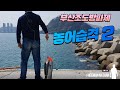 폭발적인 농어피딩 ( 농어습격2 하편 in 부산 영도 조도방파제 ) Powerful Sea bass' feeding in Busan Jodo breakwater
