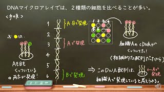 おうち生物　30.DNAマイクロアレイ　(高校生物)