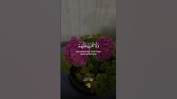 تلاوة هادئة من سورة النمل للقارئ محمد الفقيه 💚 - راحة وسكينة لا توصف 💜😴