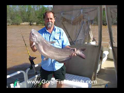 Video March catfishing