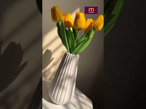 Meesho home decor