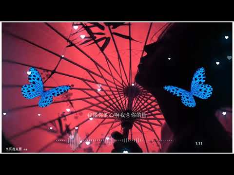 2021華語網絡流行音樂 ||《良辰遇美景》|| 花僮 || 動態歌詞