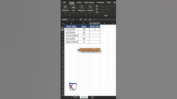 How to use the WORKDAY Function in Excel!
