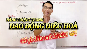 Cách Để Hiểu Bài Năng Lượng Trong Dao Động Điều Hoà Chỉ Trong 5 Phút