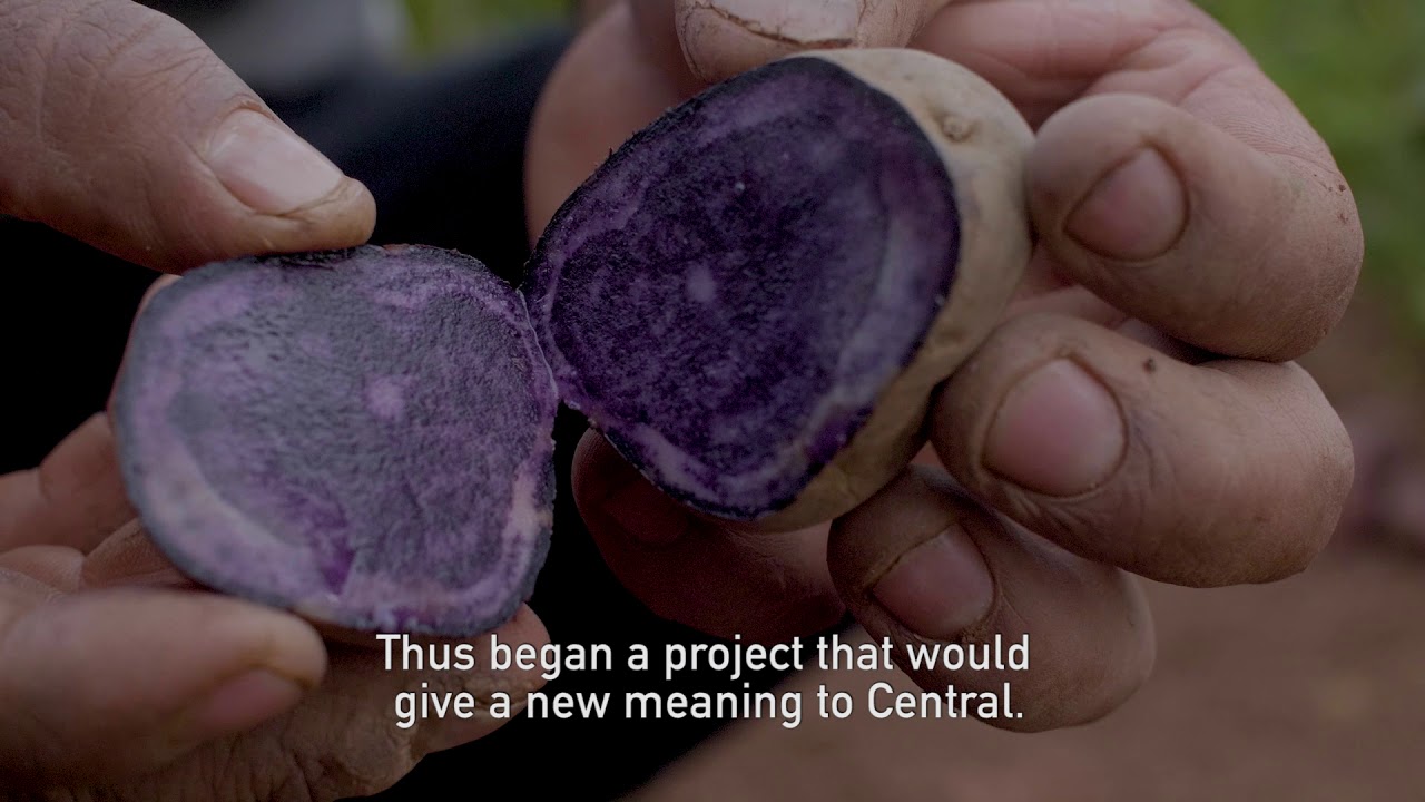 5 Years of Mater Iniciativa