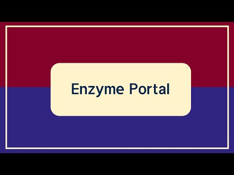 آموزش Enzyme Portal