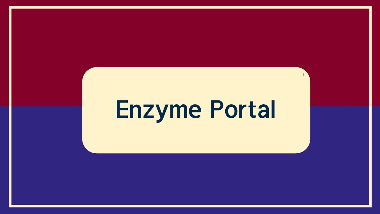 آموزش Enzyme Portal
