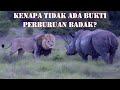 Kenapa Badak Jarang Diburu Oleh Singa, Hyena dan Pemangsa Lainnya?