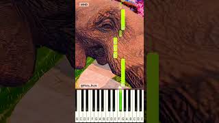 SHPIONIRO GOLUBIRO MAKING A MESS 2 @Flute_Dude - Piano Tutorial