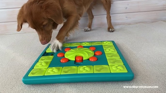 MultiPuzzle Dog Puzzle Toy