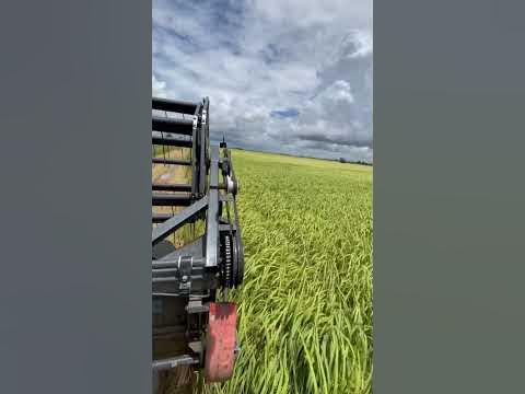 #nature #fendt #newholland #landwirtschaft #tractors #agro #farmerlife