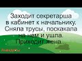 Не успел вытащить… Подборка смешных жизненных анекдотов Лучшие короткие анекдоты