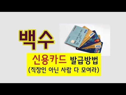   신용카드 발급 백수도 할 수 있다