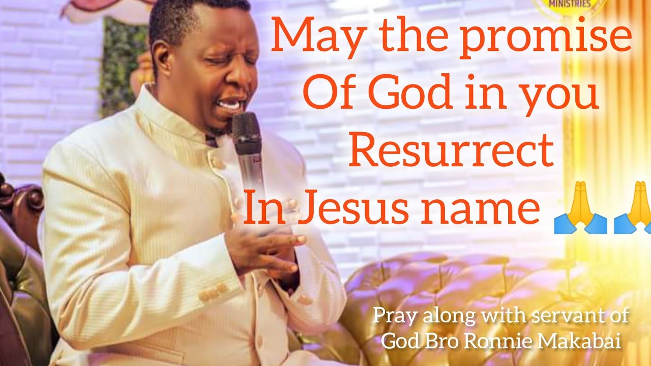 May the promise of God in you resurrect in Jesus name./Pray along with servant of God .