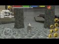 Stray Cat Simulator apk v1