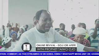 Online Revival  1192026