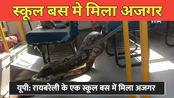 Braking News: स्कूल की बस में मिला अजगर , अजगर मिलने से मचा हड़कंप