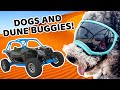 Doggie Roadtrip!! | We Can Give Our Worries to God | Kids