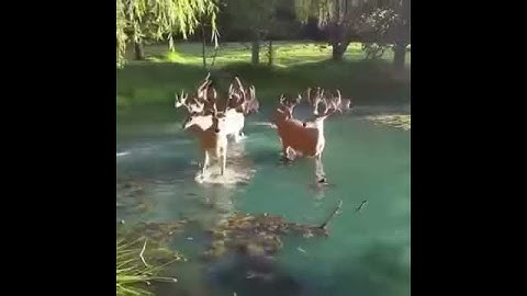 Ugly God new song snippet!