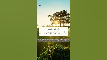سورة الأنبياء #lecoranalkarim #اكسبلور #القرآن_الكريم #المصحف #سبحان_الله #سبحان_الله_وبحمده #قرآن