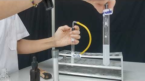Gas tests for IGCSE and O Level Chemistry