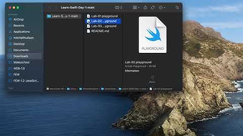 04 Mob 1 1 tuples - Learn Swift