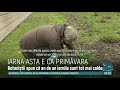 Semne de primăvară în ianuarie. Vezi cum arată parcurile din Chișinău la mijloc de iarnă