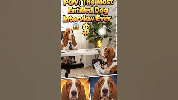 This basset hound job interview takes an unexpected turn! 🐶