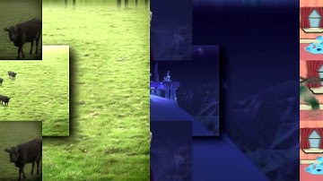 6 Shuric Scans with are slides (Kerry Wiser