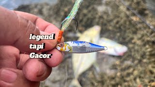 Spot batu selalu ada kejutan ‼️|| UltralightFishing